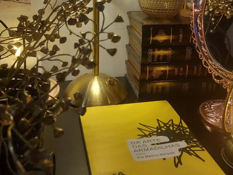 Da arte das armadilhas estilo da autora