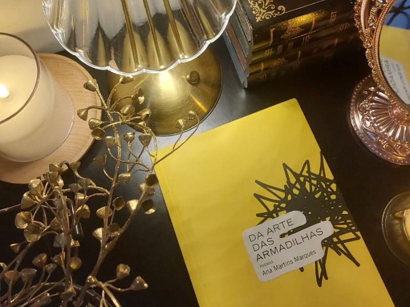 Da arte das armadilhas poesia