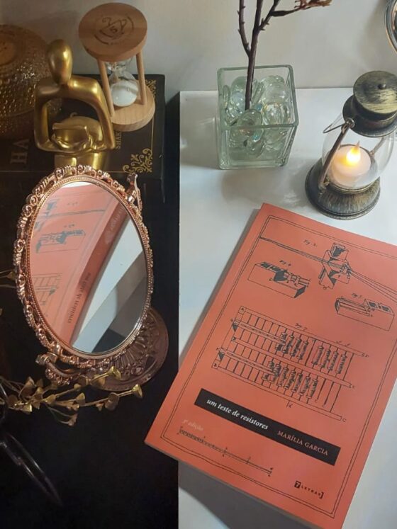 Um teste de resistores, livro de Marília Garcia [Resenha]