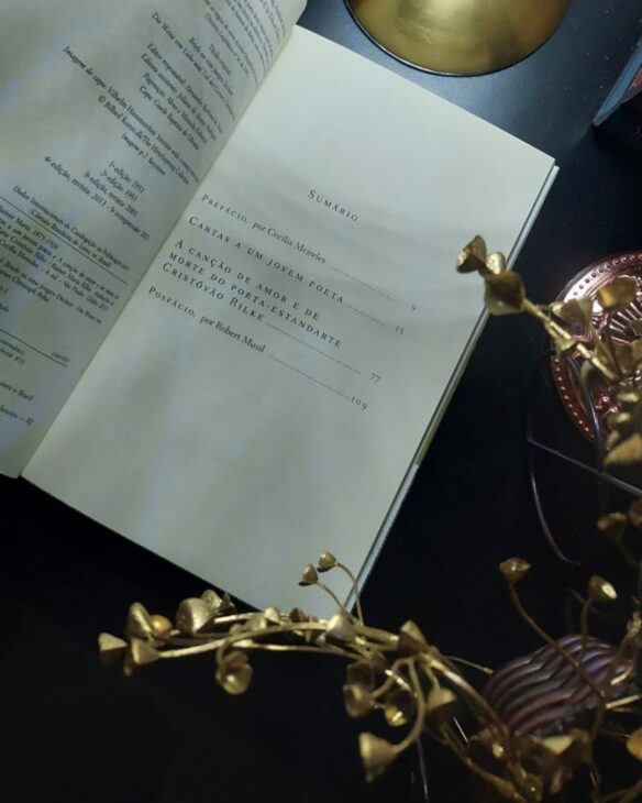 cartas a um jovem poeta rainer maria rilke temas