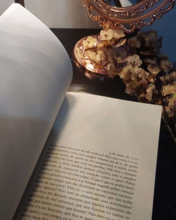 Os sofrimentos do jovem Werther goethe estilo do autor