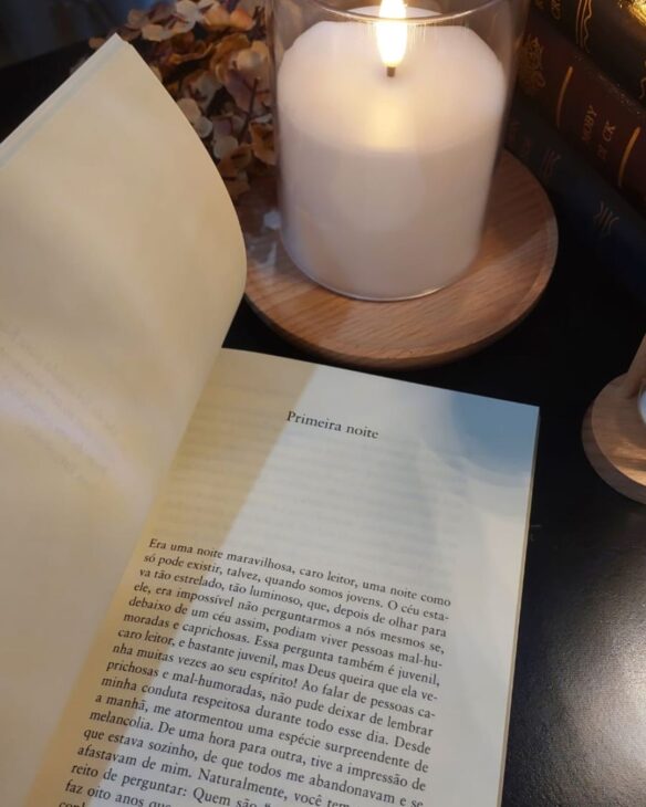o primeiro capítulo do livro noites brancas de doistiéviski, denominado primeira noite
