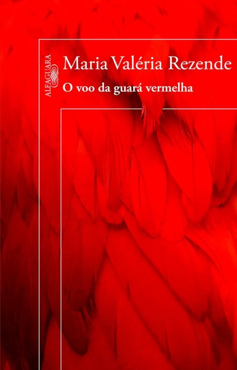 capa do o voo da guara vermelha de maria valéria rezende