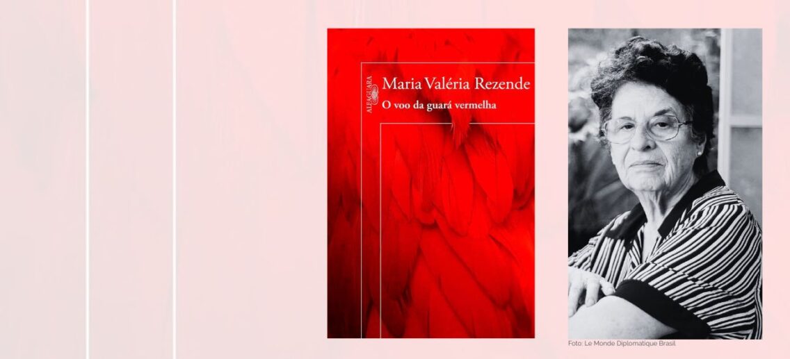 O voo da guará vermelha, de Maria Valéria Rezende: o poder das histórias