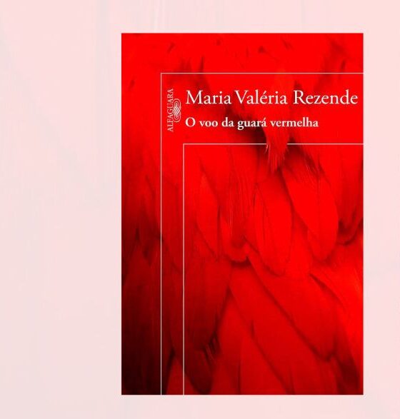 O voo da guará vermelha, de Maria Valéria Rezende: o poder das histórias