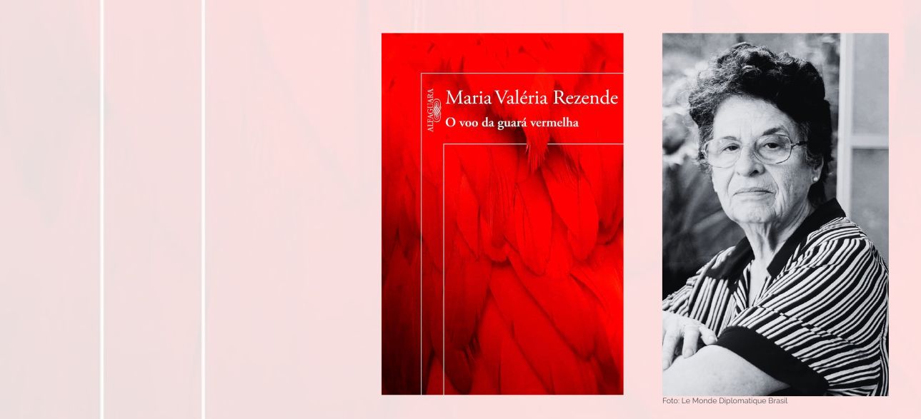 O voo da guará vermelha, de Maria Valéria Rezende: o poder das histórias